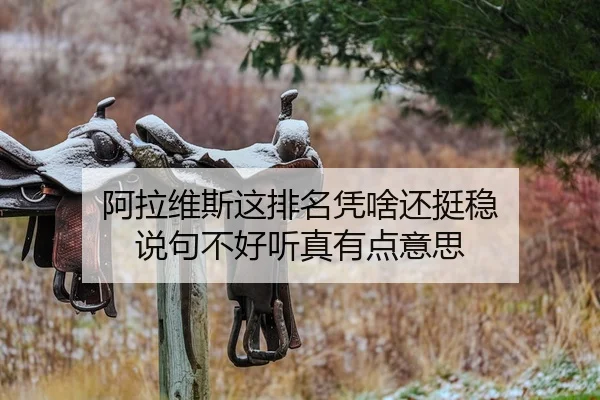 阿拉维斯这排名凭啥还挺稳 说句不好听真有点意思