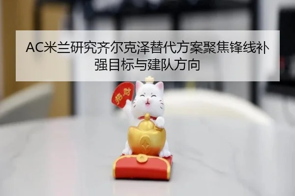AC米兰研究齐尔克泽替代方案聚焦锋线补强目标与建队方向