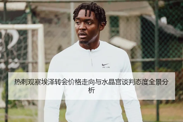 热刺观察埃泽转会价格走向与水晶宫谈判态度全景分析
